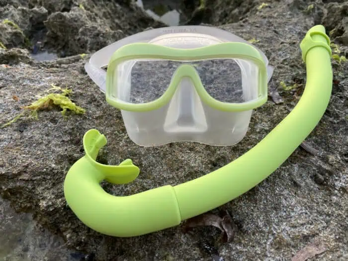 The AGULHAS MOKARRAN Mask and the Cepedianus Snorkel in California Kelp Yellow.